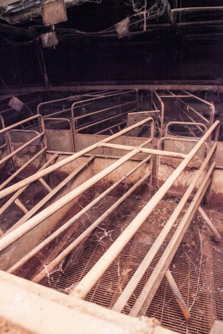 Empty farrowing shed