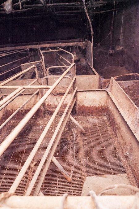 Empty farrowing shed