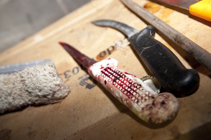 Bloody knives in Wally's slaughter room