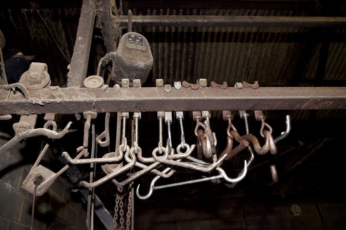 Shackles for hanging pigs