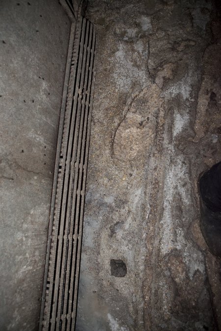 Walkway of farrowing shed covered in thick excrement