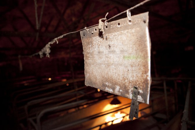 Records above farrowing crate