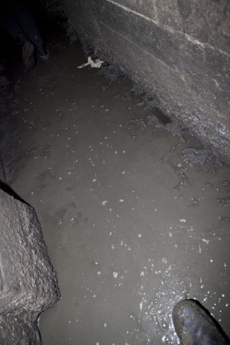 Walkway between sheds covered in thick excrement