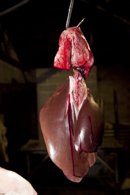 Pig organs hanging on hook in slaughter room