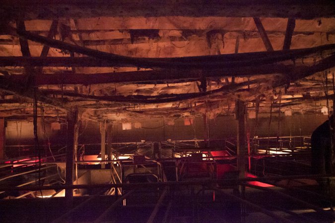 Looking across farrowing shed