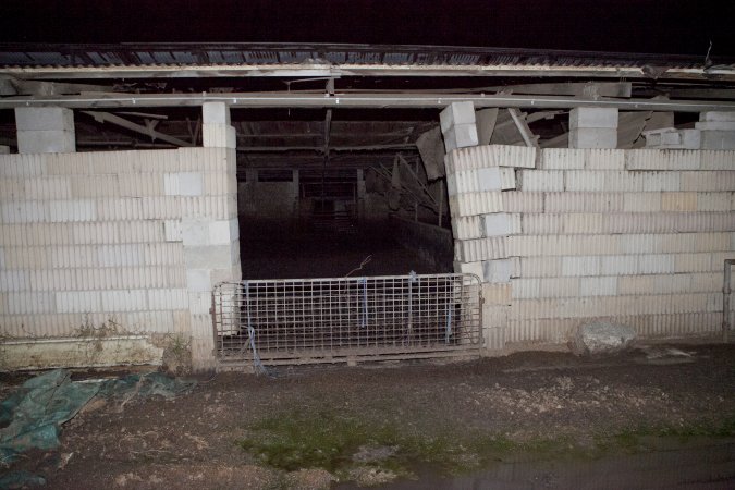 Crumbling wall of piggery shed structure