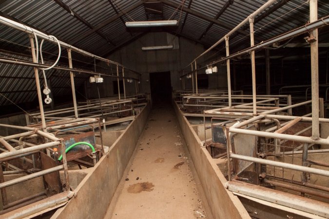 Empty farrowing shed