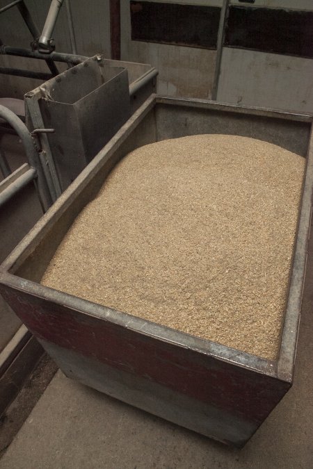 Feed trolley in farrowing shed