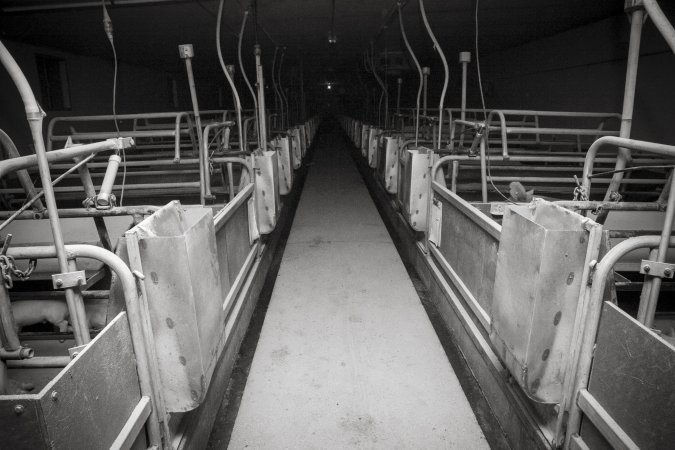 Looking down aisle of farrowing shed