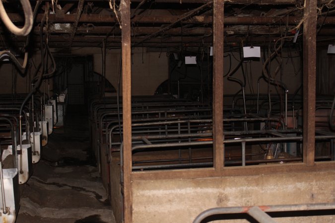 Farrowing crates at Strathvean Piggery NSW