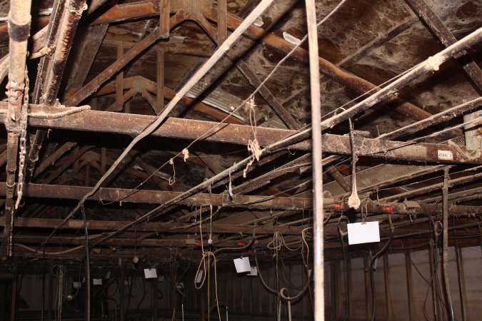Ceiling of farrowing shed