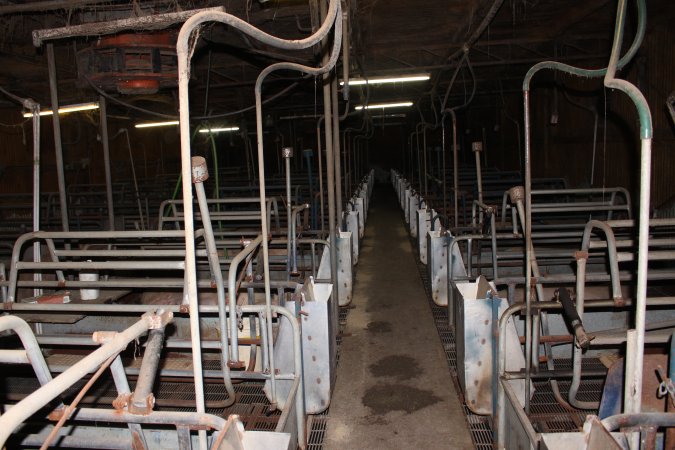 Farrowing crates at Boen Boe Stud Piggery NSW