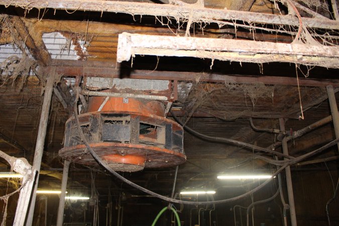 Farrowing crates at Boen Boe Stud Piggery NSW