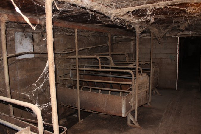 Farrowing crates at Cumbijowa Piggery NSW