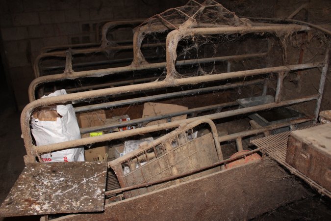 Farrowing crates at Cumbijowa Piggery NSW