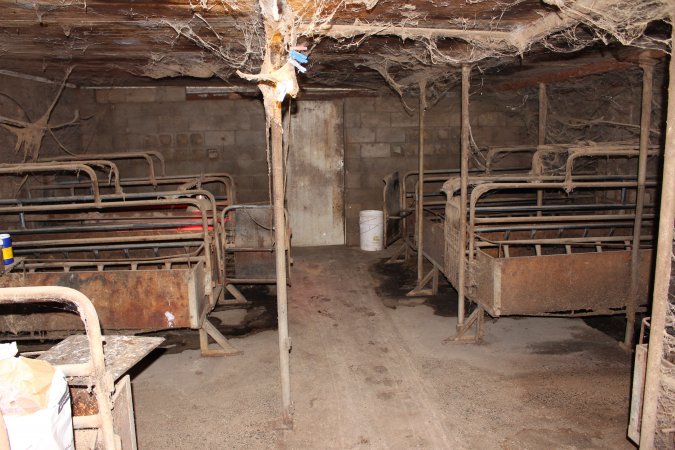 Farrowing crates at Cumbijowa Piggery NSW