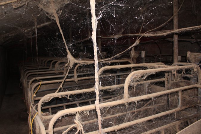 Farrowing crates at Cumbijowa Piggery NSW