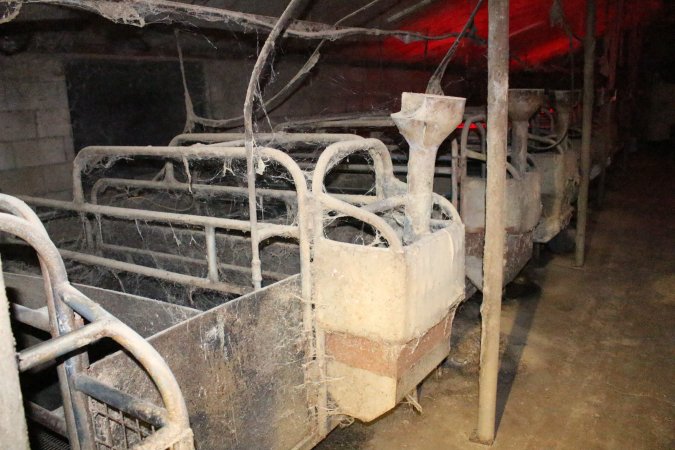 Farrowing crates at Cumbijowa Piggery NSW