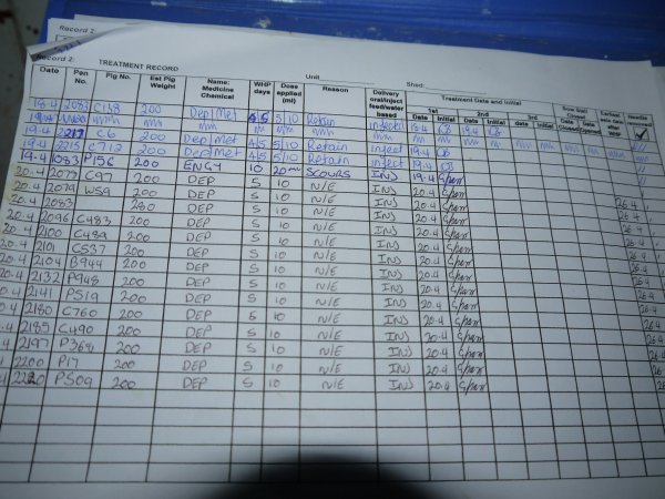 Treatment record in farrowing shed