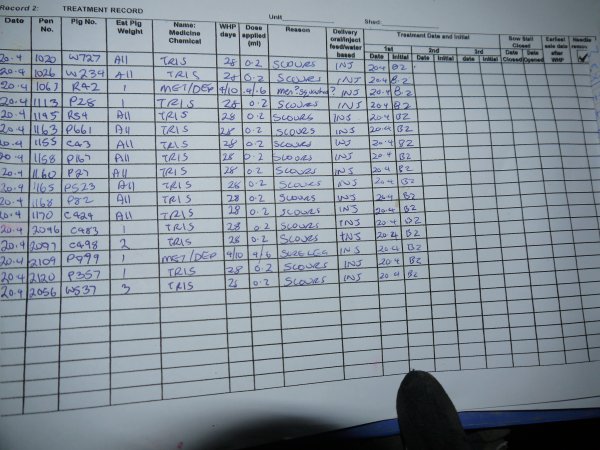 Treatment record in farrowing shed