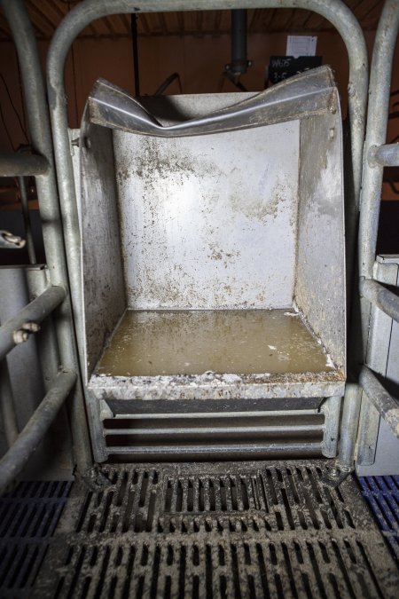 Feed tray in empty farrowing crate