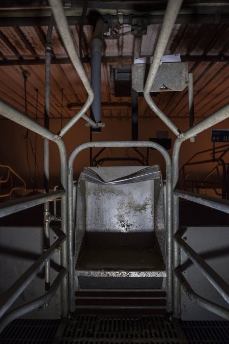 Feed tray in empty farrowing crate