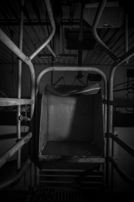 Feed tray in empty farrowing crate