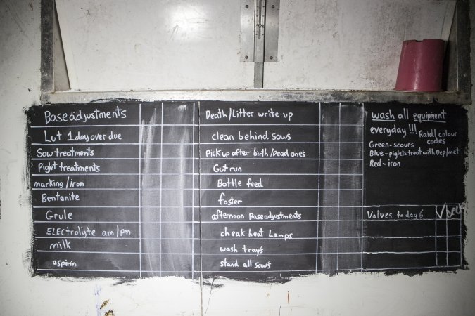 Farrowing checklist