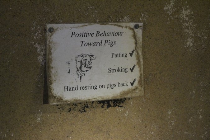 'Positive behaviour towards pigs' sign