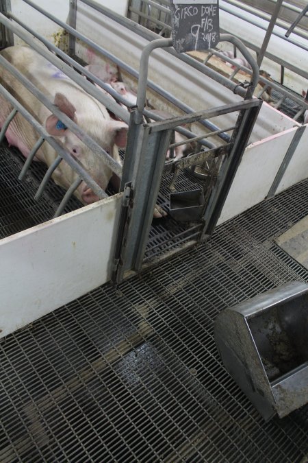 Feed tray fallen off or removed from front of crate