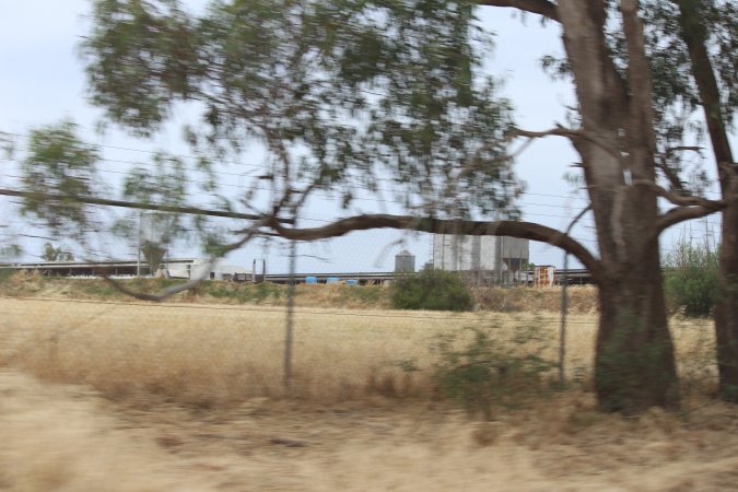 Outside sheds in daylight
