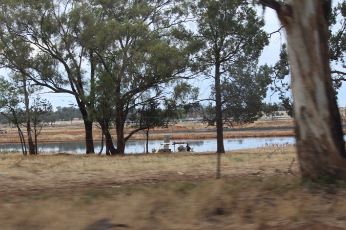 Outside sheds in daylight