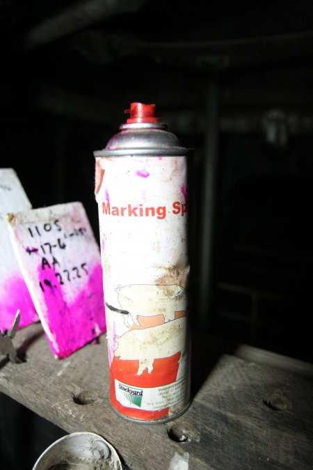 Pig marking spray can