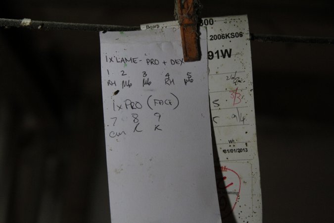 Farrowing record