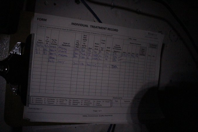 Treatment record