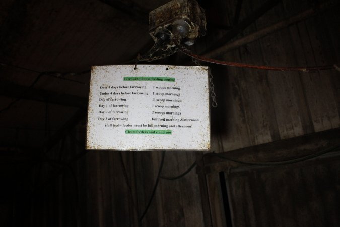 Farrowing house feeding routine sign