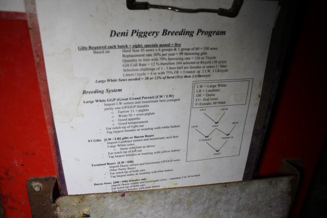 Deni Piggery breeding program