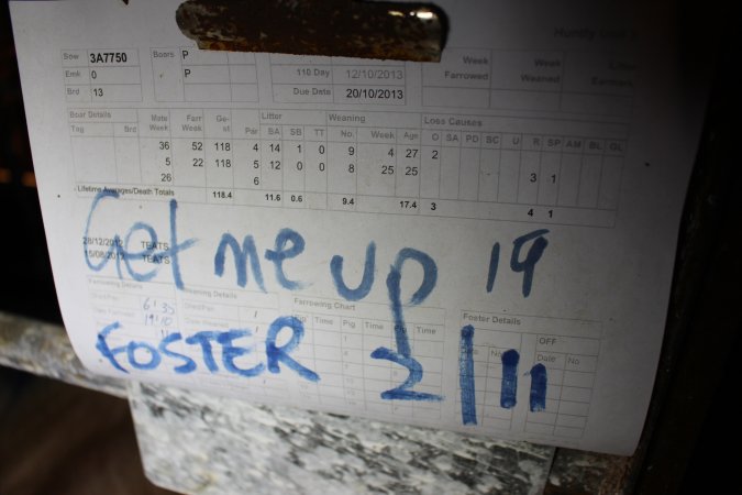 Farrowing record with 'get me up' written on it