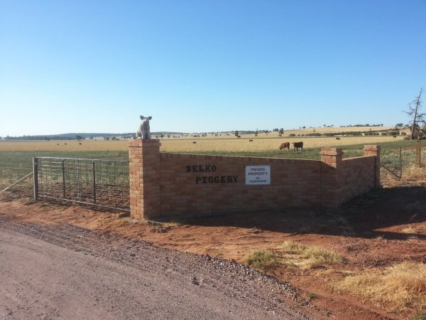Sign at front of property identifying Selko Piggery