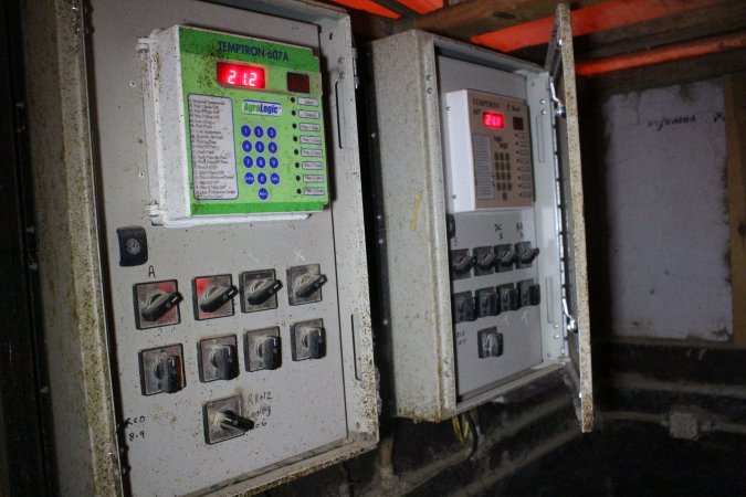 Farrowing crates at Wasleys Tailem Bend Piggery SA