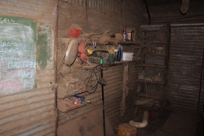 Farrowing crates at Willawa Piggery NSW