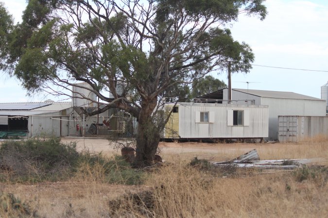 Piggery sheds outside in daylight