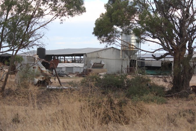 Piggery sheds outside in daylight