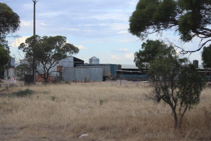 Piggery sheds outside in daylight