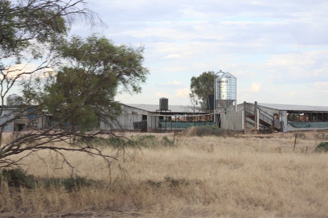 Piggery sheds outside in daylight