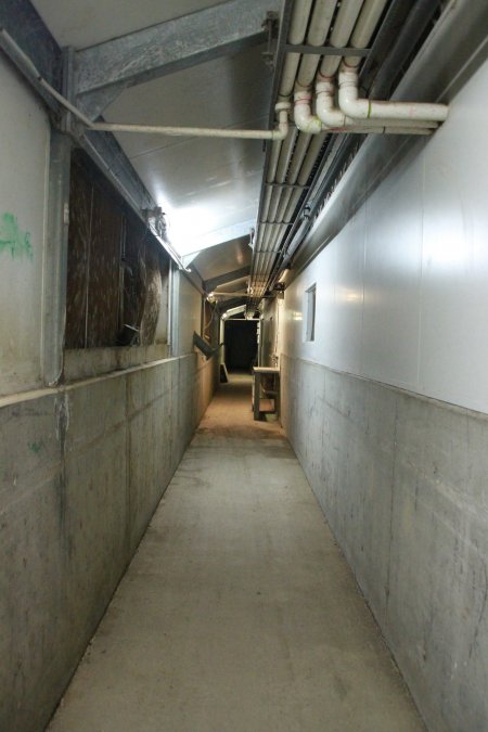 Walkway at side of shed