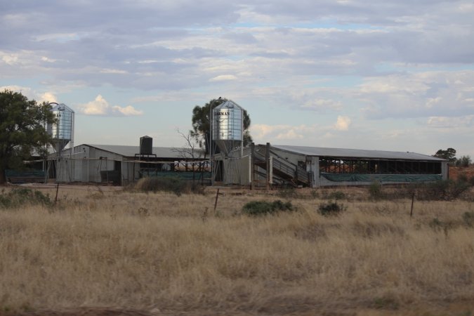 Piggery sheds outside in daylight