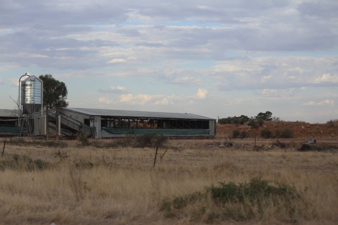 Piggery sheds outside in daylight