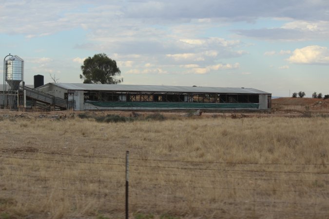 Piggery sheds outside in daylight