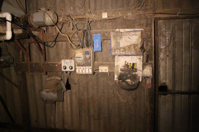 Farrowing crates at Korunye Park Piggery SA